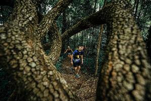 BIB: 
                            <button type="button" onclick="openModal(25668044)" class="btn btn-primary btn-sm float-right btn-popup" data-toggle="modal" data-target=".modal-high-quality">
                        <i class="fas fa-shopping-cart"></i> Add to Cart
                    </button>
                                            <button type="button" onclick="isThisMe(25668044, true)" class="btn btn-success btn-sm float-right btn-popup btn-isme hidden" data-toggle="tooltip" data-placement="bottom" title="นี่คือรูปของคุณใช่ไหม คลิกที่นี่เพื่อเอาเข้าอัลบั้ม">
                        <i class="fas fa-plus"></i> Add to album
                    </button>
                    <button type="button" onclick="isThisMe(25668044, false)" class="btn btn-warning btn-sm float-right btn-popup btn-isnotme hidden">
                        <i class="fas fa-ban"></i> Remove from album
                    </button>